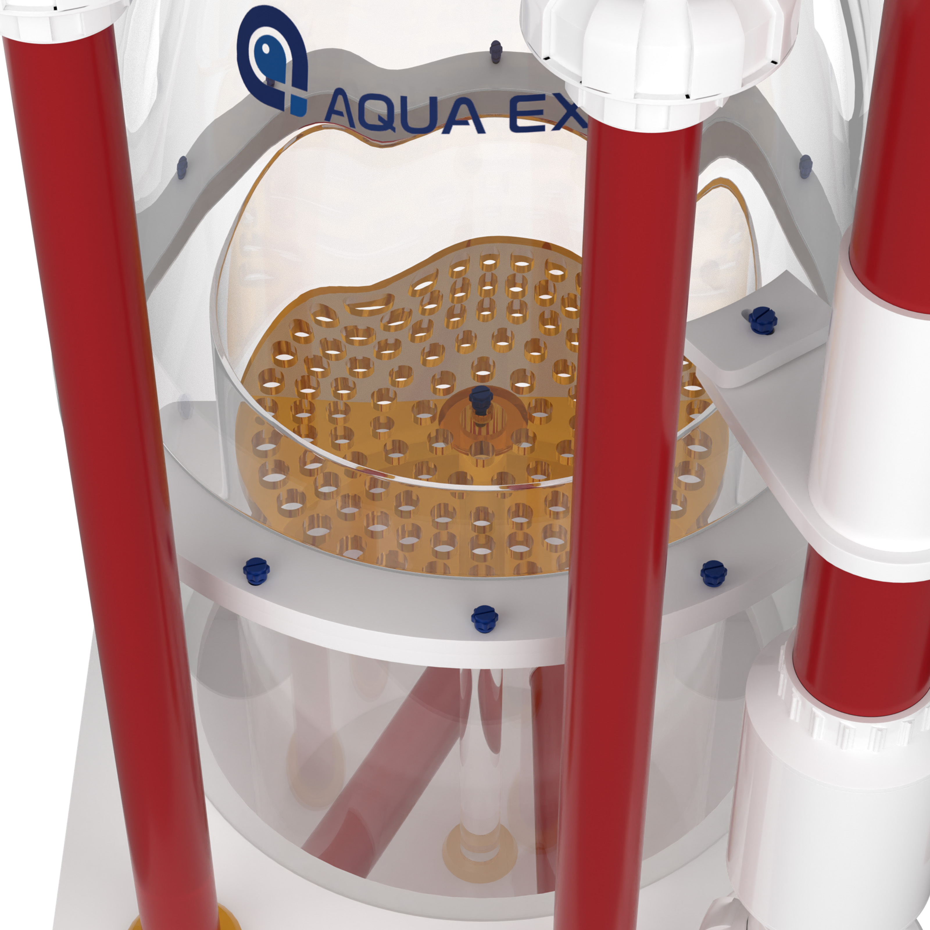 AE-NOZ-D Modern Large Protein  - đánh giá và giá Protein Skimmer Reef