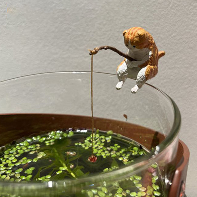 1Pc Creative Fishing Cat Fish  - đánh giá và giá Aquarium Fish To Buy