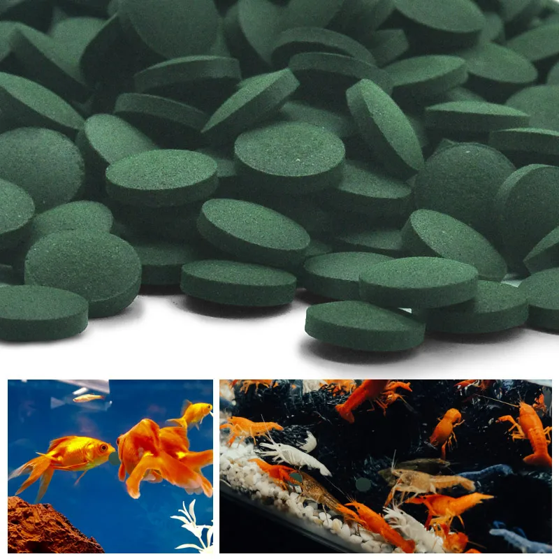 100pcs High Purity Spirulina T - đánh giá và giá Fish Food Flake
