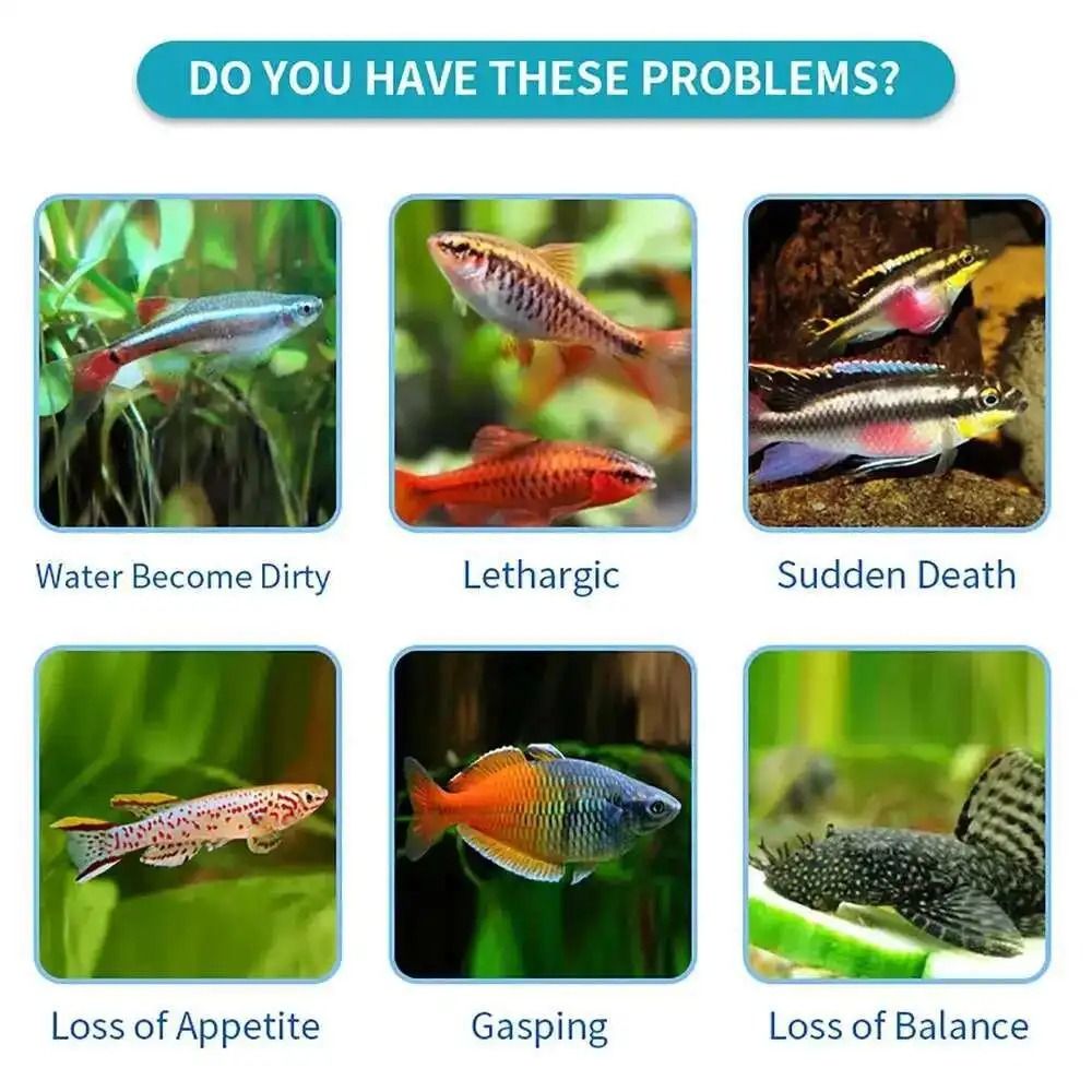 100Pcs 7 in 1 Aquarium Test St - đánh giá và giá Aquarium Test Kit