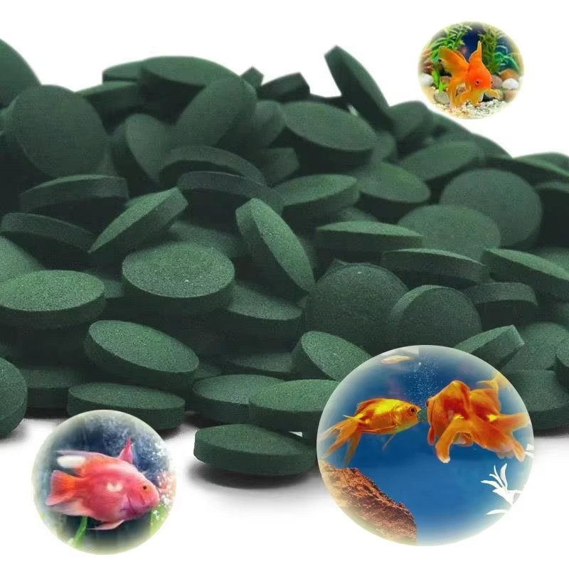 500-3000pcs High Purity Spirul - đánh giá và giá Fish Food Flake
