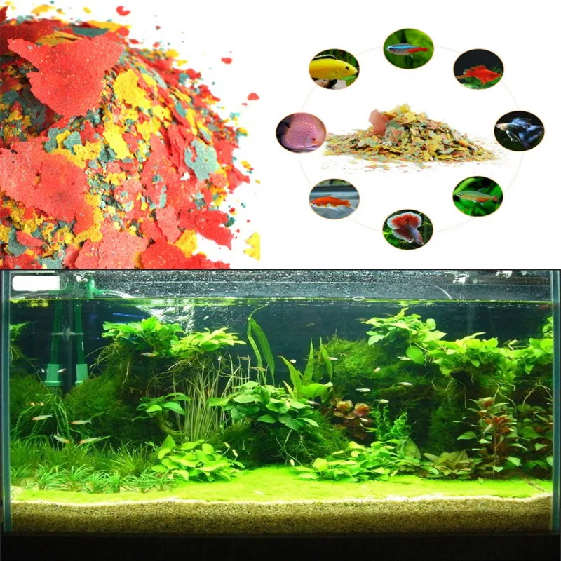 NEW Healthy Fish Food Flakes F - đánh giá và giá Fish Food Flake