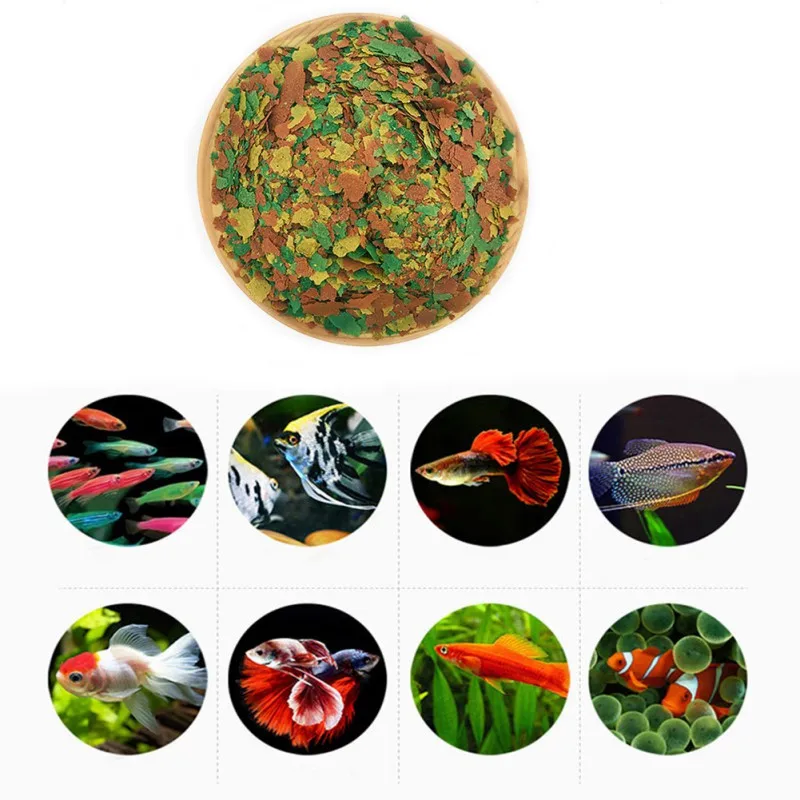 NEW Healthy Fish Food Flakes F - đánh giá và giá Fish Food Flake