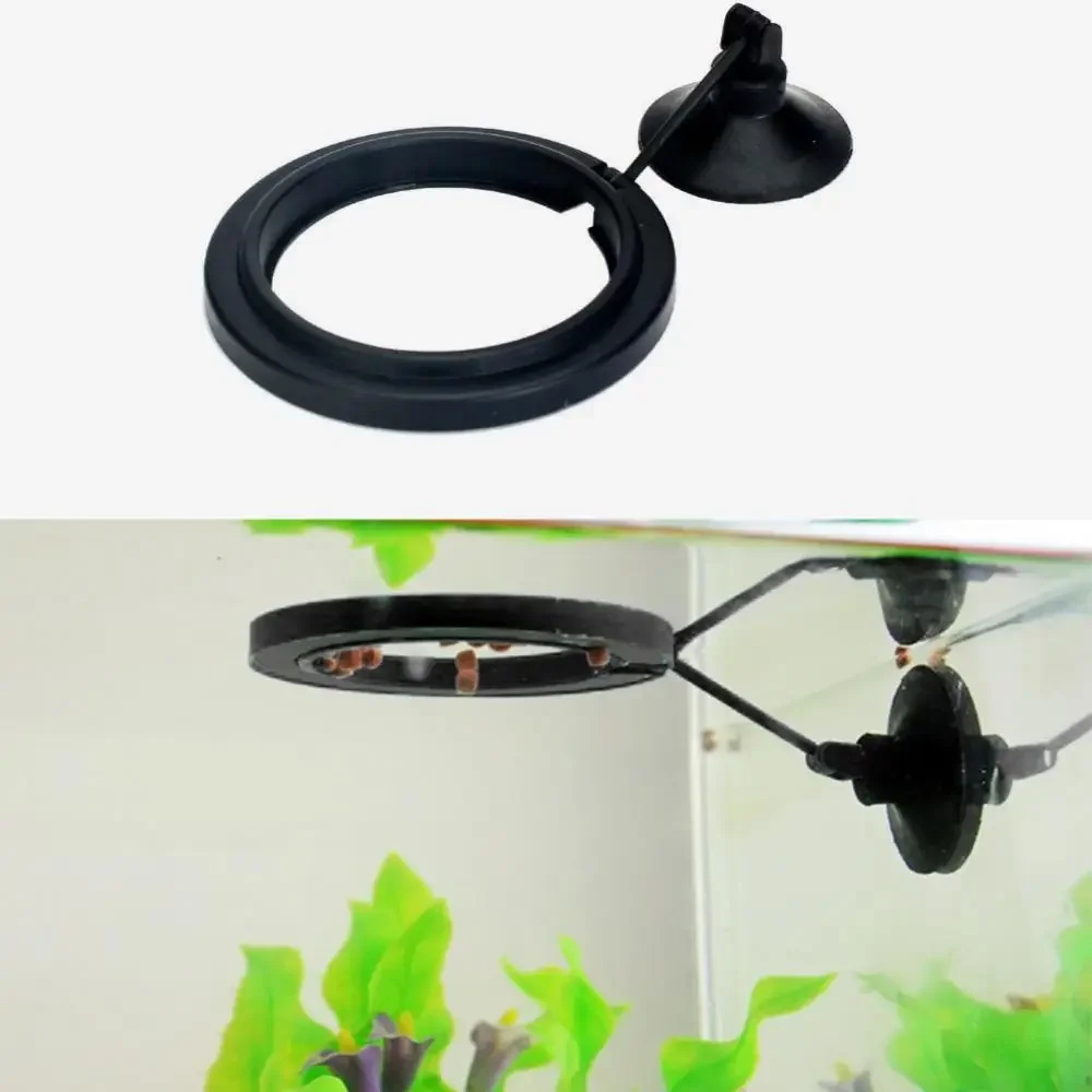 Feed Suction Cup Aquarium Feed - đánh giá và giá Aquarium Fish To Buy