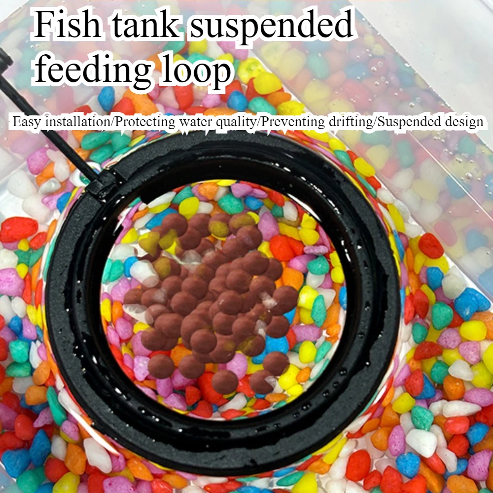 Feed Suction Cup Aquarium Feed - đánh giá và giá Aquarium Fish To Buy