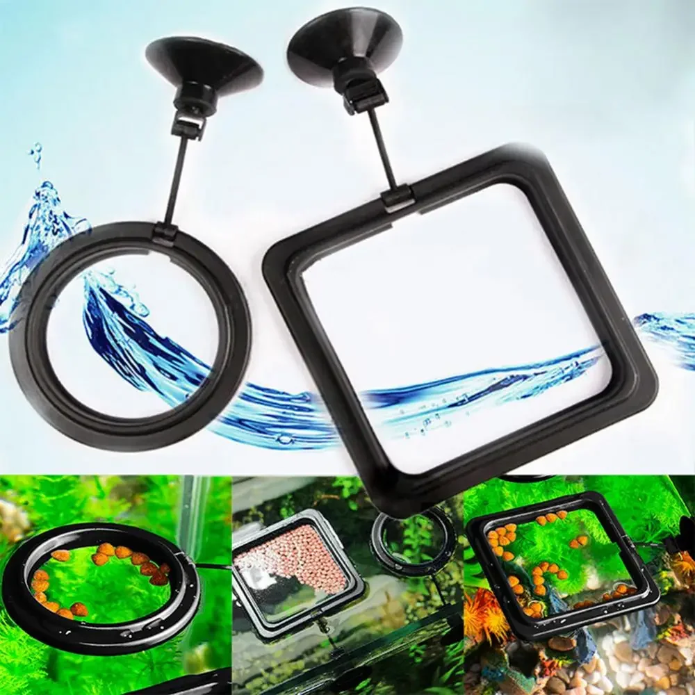 Feed Suction Cup Aquarium Feed - đánh giá và giá Aquarium Fish To Buy