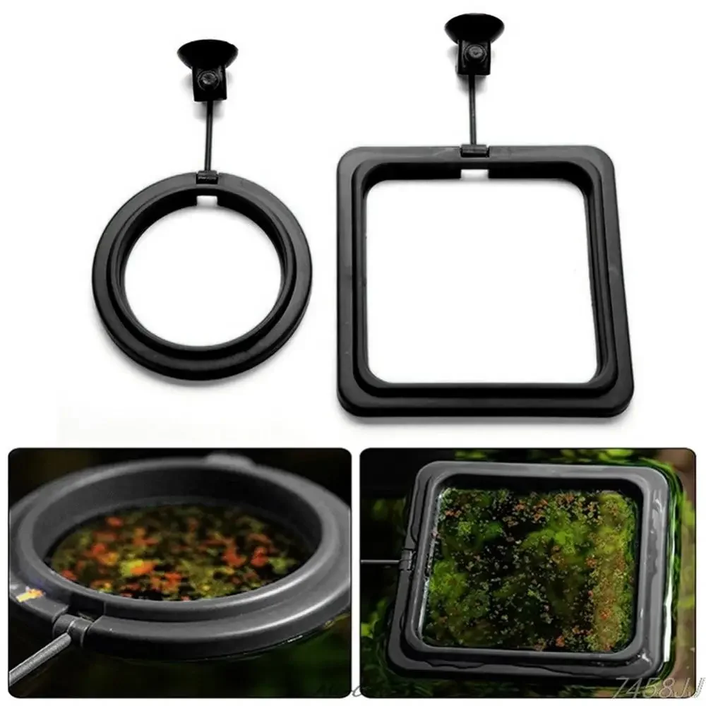 Feed Suction Cup Aquarium Feed - đánh giá và giá Aquarium Fish To Buy
