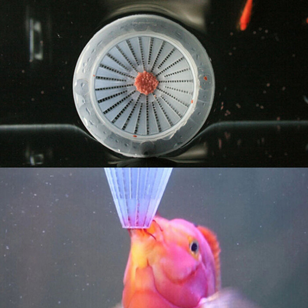 1Pc Feeding Cup Aquarium Baske - đánh giá và giá Aquarium Fish Angel