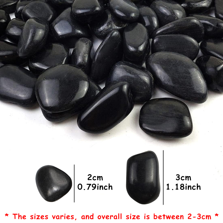 200g Black High Polished Natur - đánh giá và giá Aquarium Fish Black