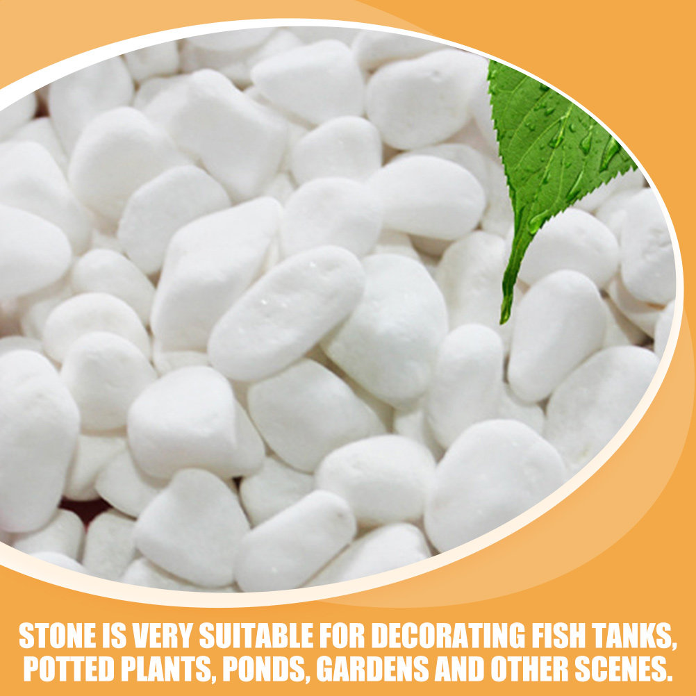 1Set White Decorative Stone El - đánh giá và giá Aquarium Fish To Buy