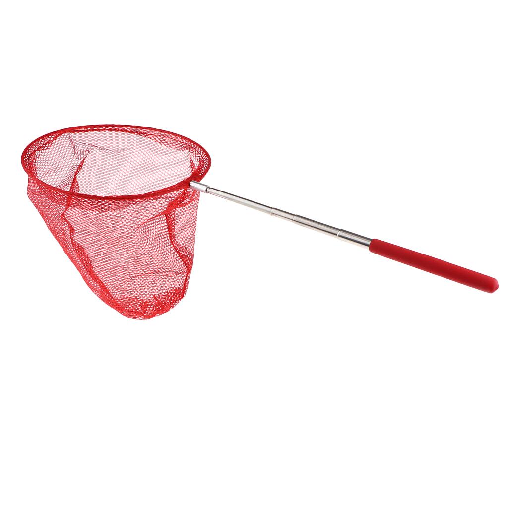Folding Butterfly Net for Kids - đánh giá và giá Fish Net Handle