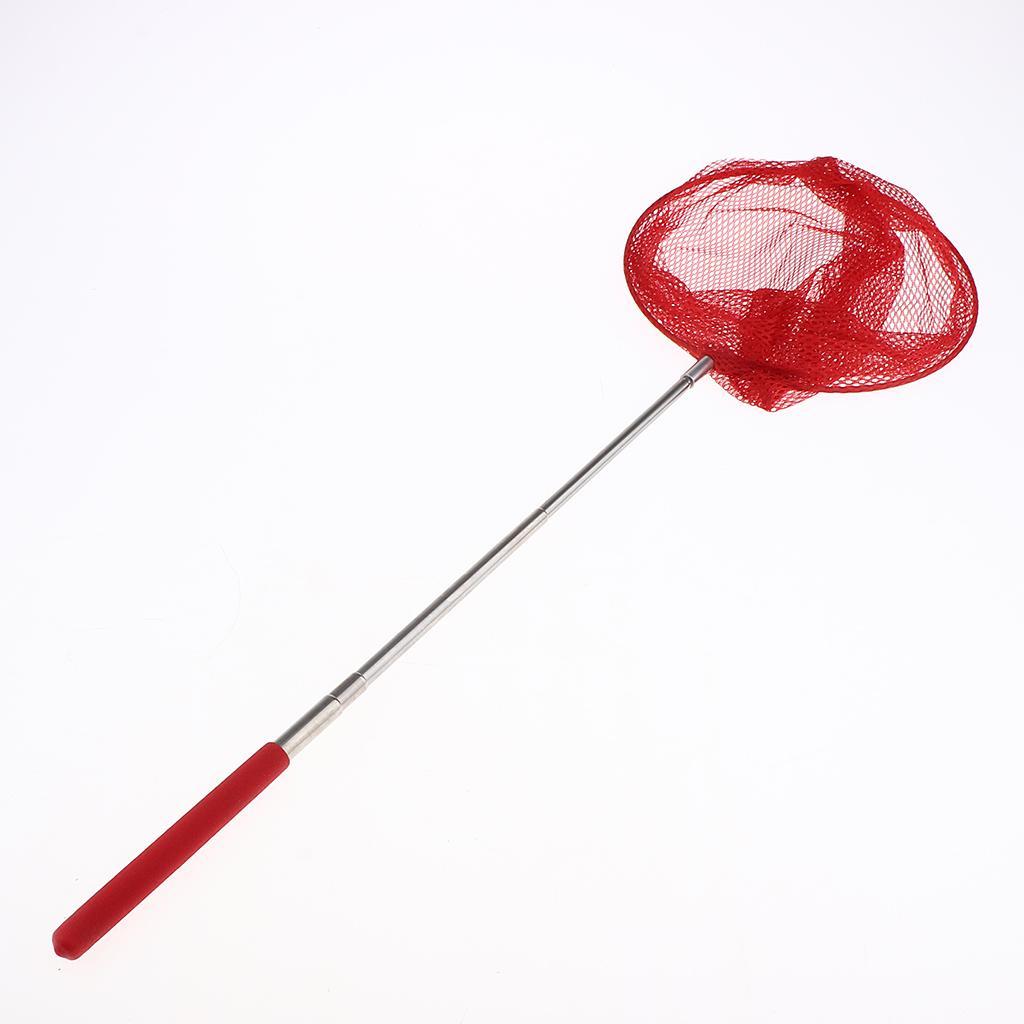 Folding Butterfly Net for Kids - đánh giá và giá Fish Net Handle