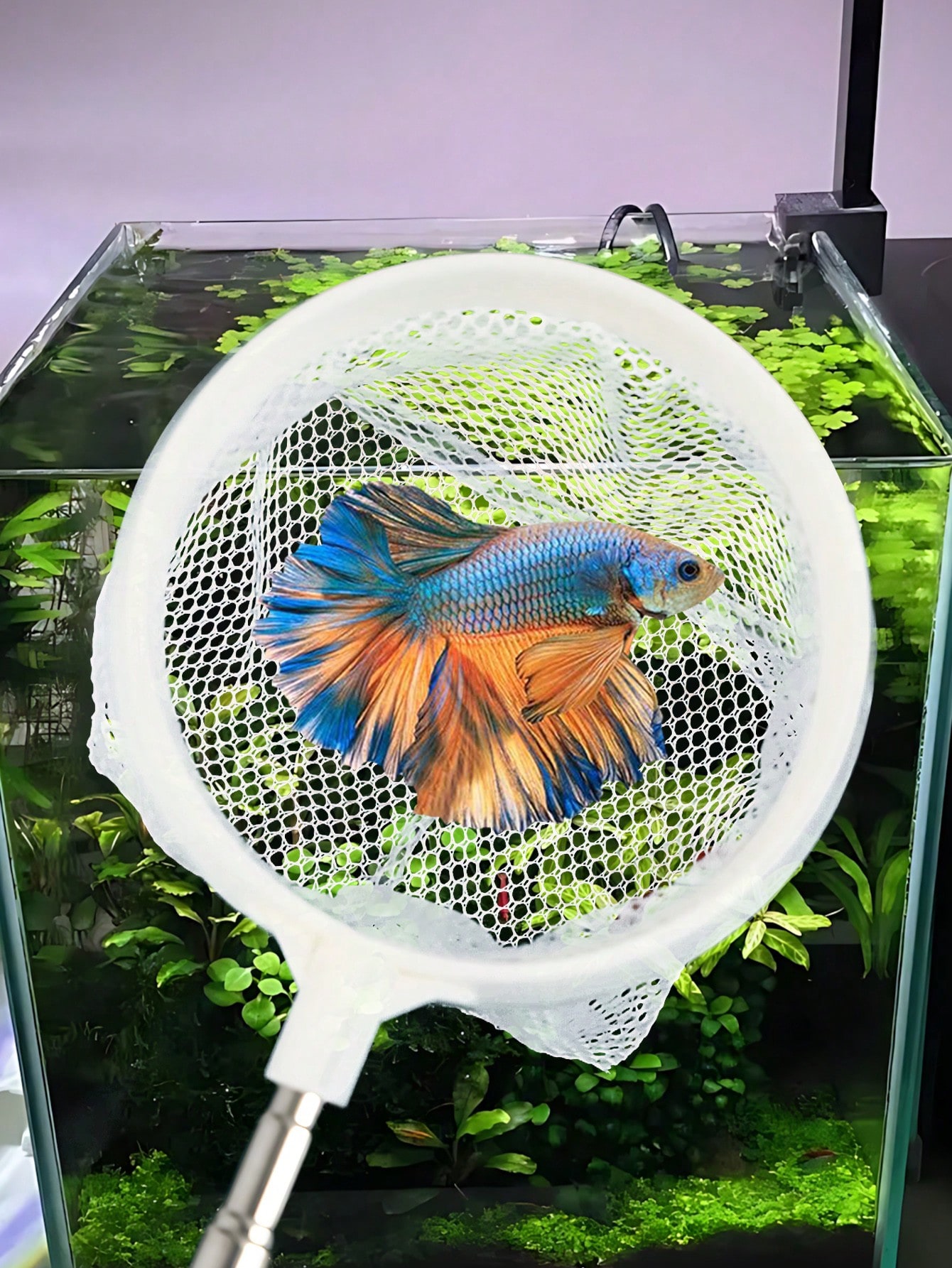 Aquarium Fish Net - a Retracta - đánh giá và giá Fish Net Handle