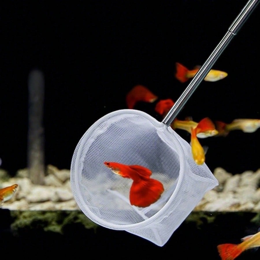 Aquarium Fish Net - a Retracta - đánh giá và giá Fish Net Handle