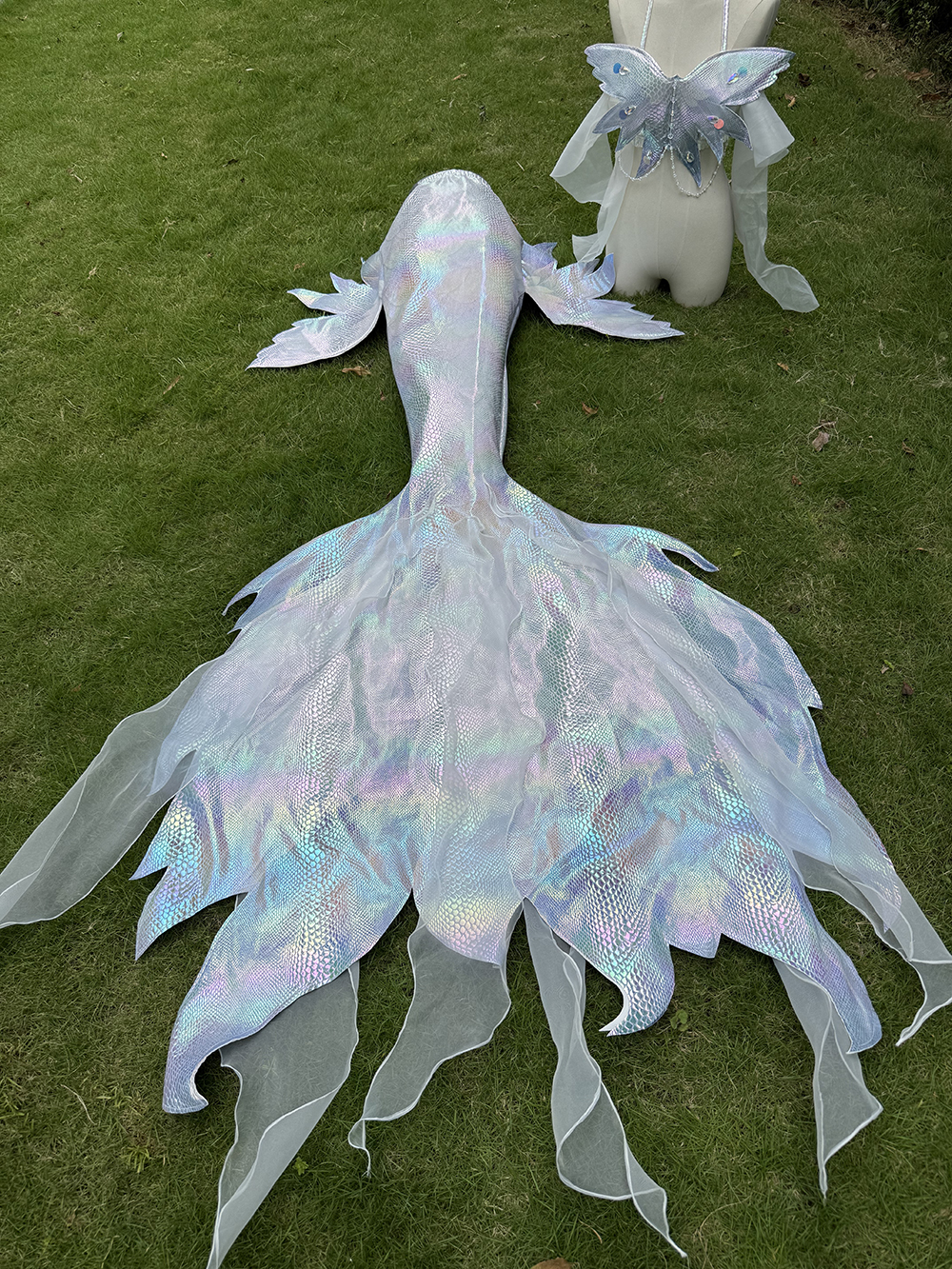 New Sky Angel Hot Stamped Big  - đánh giá và giá Aquarium Fish Angel