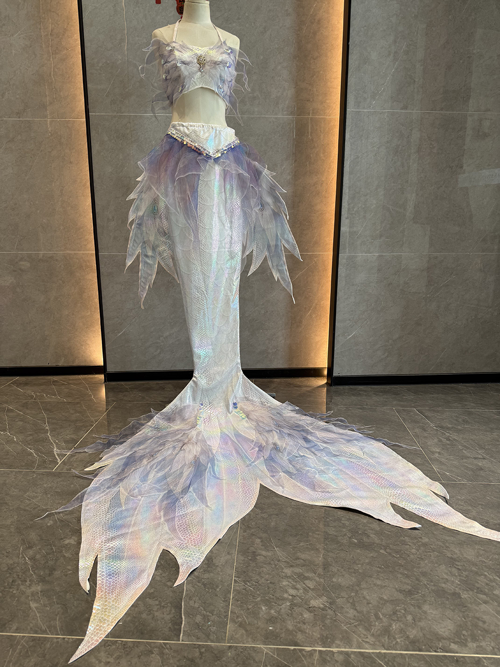 New Sky Angel Hot Stamped Big  - đánh giá và giá Aquarium Fish Angel