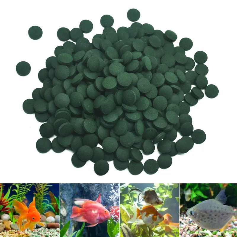 50-300Pcs High Purity Spirulin - đánh giá và giá Fish Food Flake