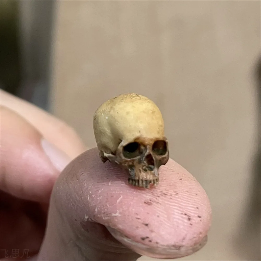 Mini Skull High Quality Miniat - đánh giá và giá Aquarium Fish To Buy