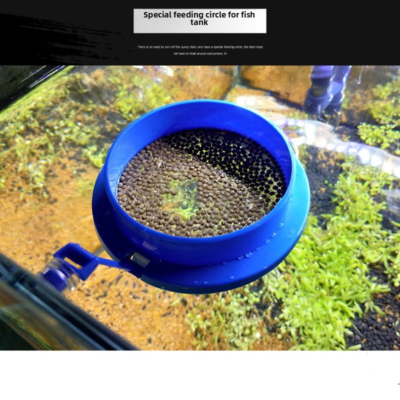 YEE Aquarium Feeding Ring-Floa - đánh giá và giá Fish Food Flake