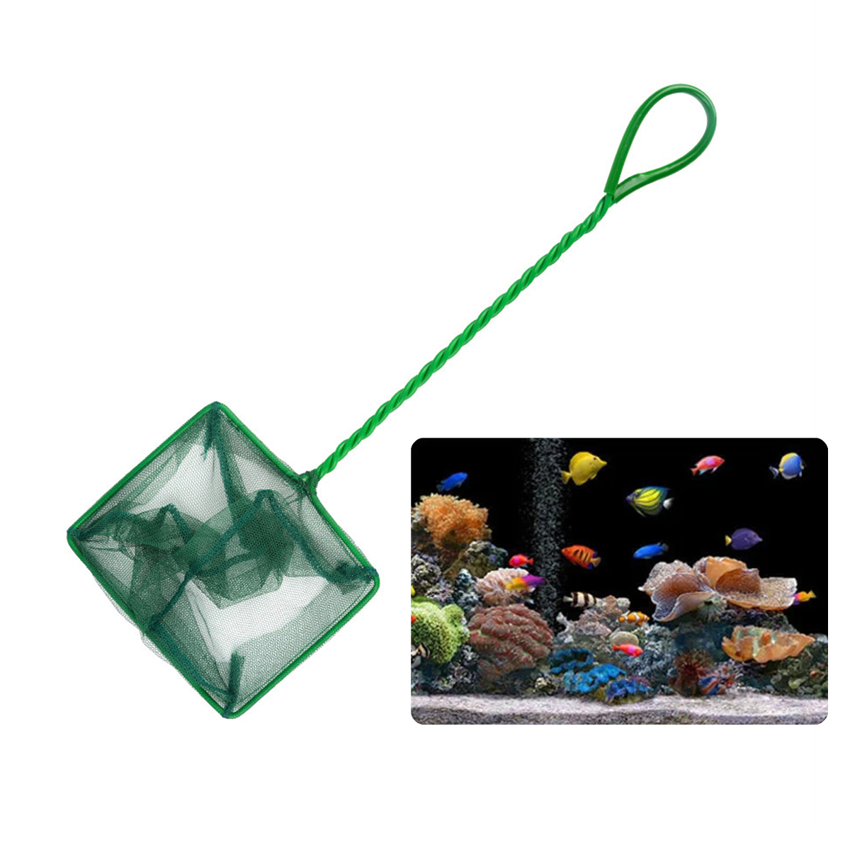 3~10 Inch Portable Nylon Green - đánh giá và giá Fish Net Handle