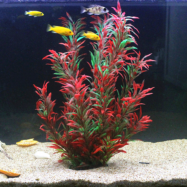 50CM Artificial Fish Tank Rare - đánh giá và giá Aquarium Fish To Buy