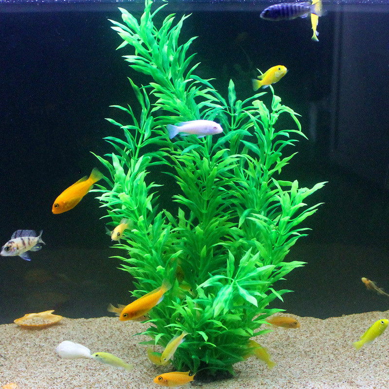 50CM Artificial Fish Tank Rare - đánh giá và giá Aquarium Fish To Buy
