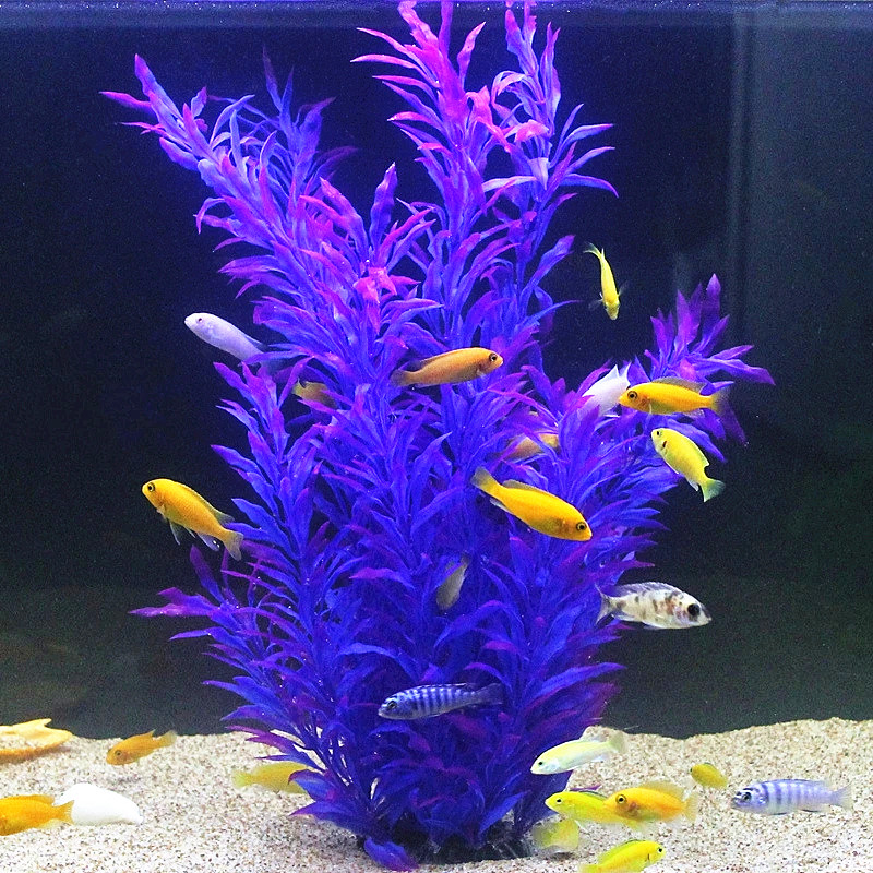 50CM Artificial Fish Tank Rare - đánh giá và giá Aquarium Fish To Buy
