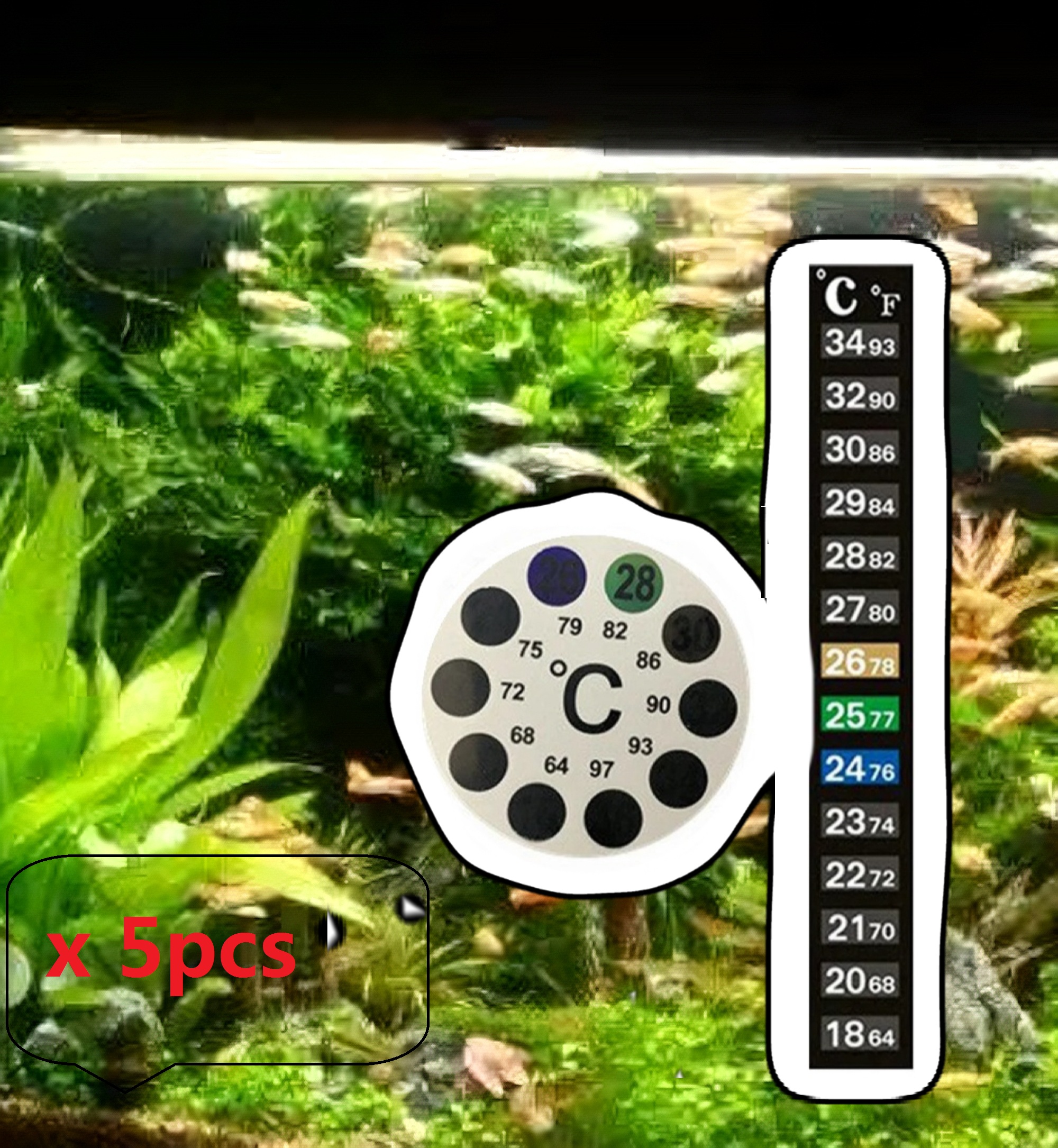 5Pcs Home Aquarium Fish Tank C - đánh giá và giá Aquarium Fish Black