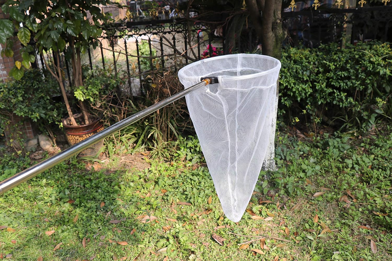 Professional Insect and Butter - đánh giá và giá Fish Net Handle
