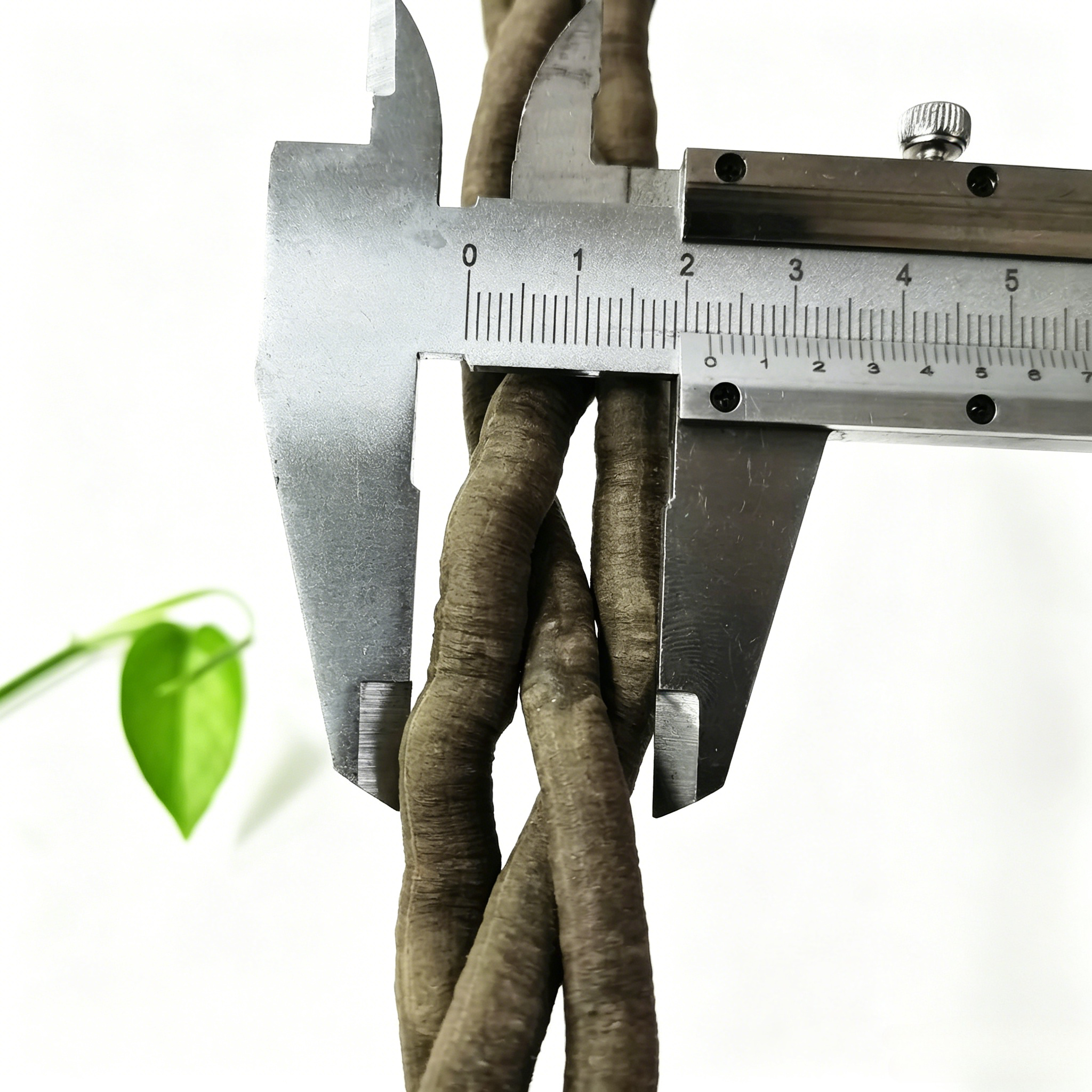 100cm Artificial Vine Plant Cl - đánh giá và giá Aquarium Fish To Buy