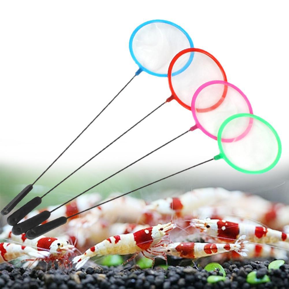 1/5/10pc Colorful Aquarium Fis - đánh giá và giá Fish Net Handle