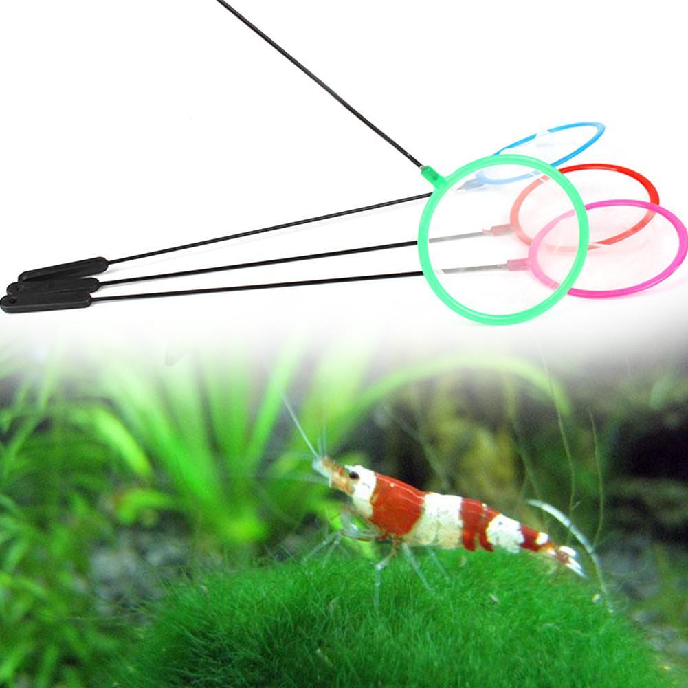 1/5/10pc Colorful Aquarium Fis - đánh giá và giá Fish Net Handle